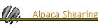 Alpaca Shearing
