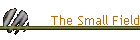 The Small Field