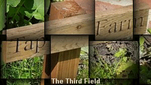The Third Field
