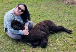 The Alpaca Paddocks - Effingham, Surrey