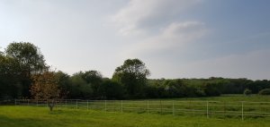 THE ALPACA PADDOCK