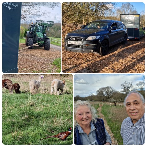 The Alpaca Paddocks - Effingham, Surrey