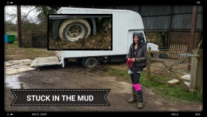 TAP FARM - Effingham, Surrey