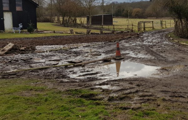 TAP FARM - Effingham, Surrey