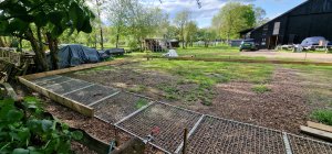 TAP FARM - Effingham, Surrey