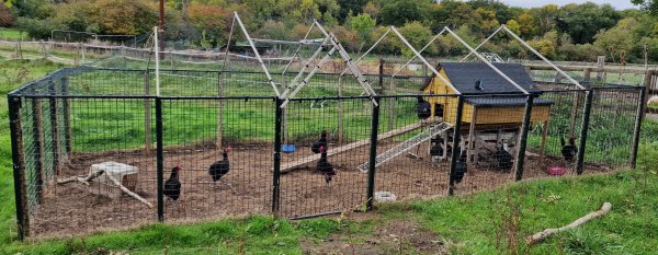 TAP FARM - Effingham, Surrey