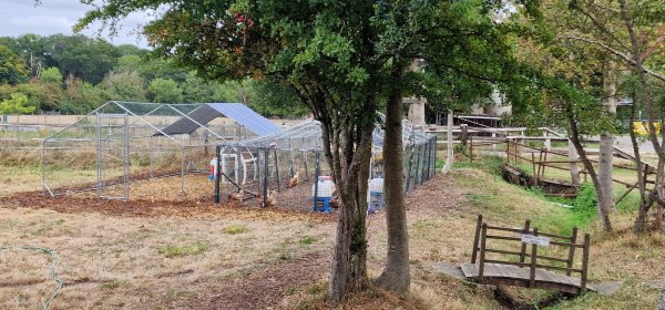 TAP FARM - Effingham, Surrey