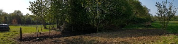 TAP FARM - Effingham, Surrey