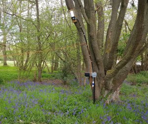 TAP FARM - Effingham, Surrey