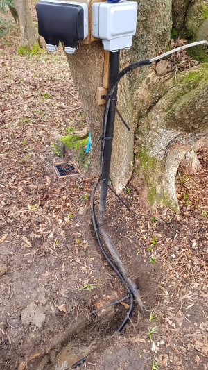 TAP FARM - Effingham, Surrey