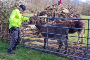 TAP FARM - Effingham, Surrey