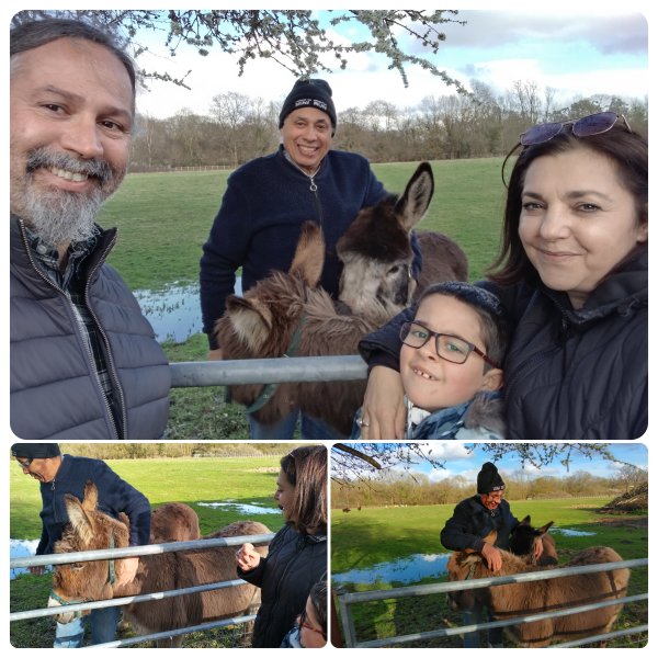 TAP FARM - Effingham, Surrey
