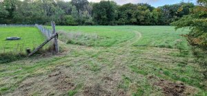 TAP FARM - Effingham, Surrey