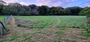 TAP FARM - Effingham, Surrey