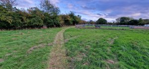 TAP FARM - Effingham, Surrey