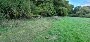 TAP FARM - Effingham, Surrey