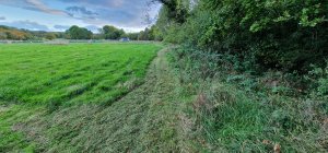 TAP FARM - Effingham, Surrey