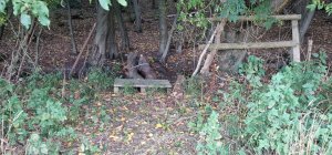 TAP FARM - Effingham, Surrey