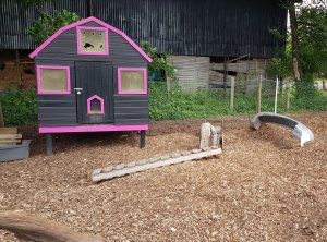 TAP FARM - GOATS