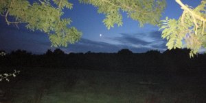 TAP FARM - Effingham, Surrey