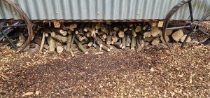 TAP FARM - The Copse Shepherd's Hut