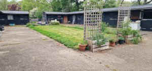 TAP FARM - Effingham, Surrey