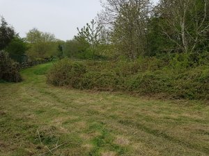 TAP FARM - Effingham, Surrey