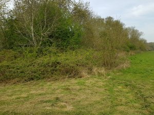TAP FARM - Effingham, Surrey