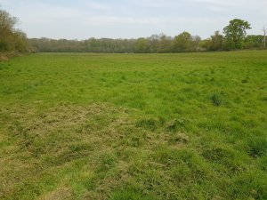 THE COPSE & LARGE FIELD