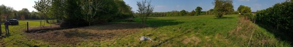 THE COPSE & LARGE FIELD