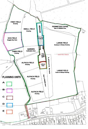 TAP FARM - Effingham, Surrey