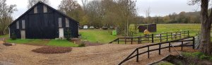 TAP FARM - Effingham, Surrey