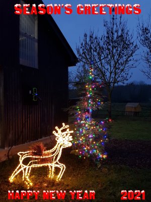 TAP FARM - Effingham, Surrey