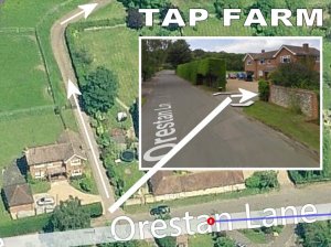 TAP FARM - Effingham, Surrey
