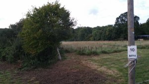 TAP FARM - Effingham, Surrey