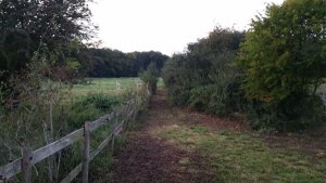 TAP FARM - Effingham, Surrey