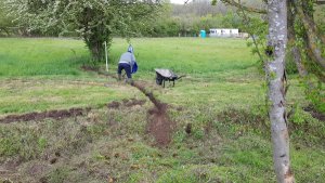 TAP FARM - Effingham, Surrey