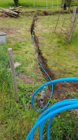 TAP FARM - Effingham, Surrey
