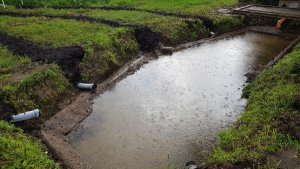 TAP FARM - Effingham, Surrey