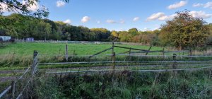 TAP FARM - Effingham, Surrey