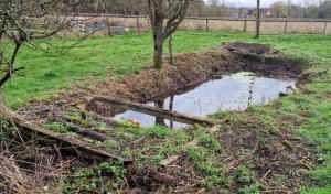 TAP FARM - Effingham, Surrey
